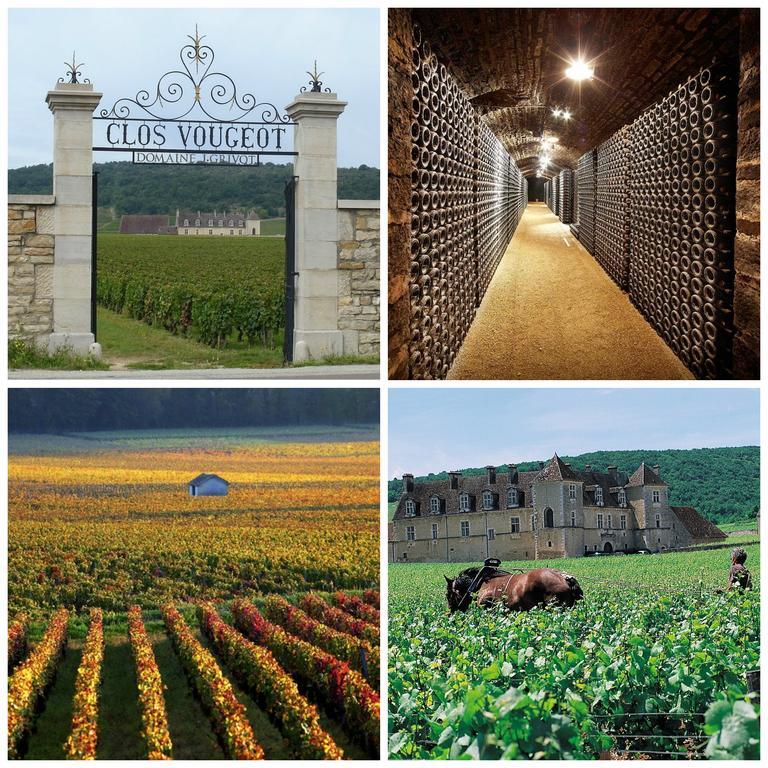 Datcha Bourguignonne Beaune Μπον Εξωτερικό φωτογραφία